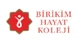 Birikim Hayat Koleji