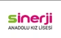 Sinerji Anadolu Kız Lisesi